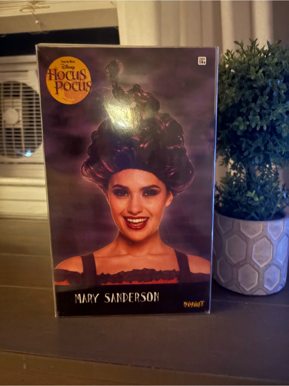 Spirit Hocus Pocus Mary Sanderson Wig for Halloween